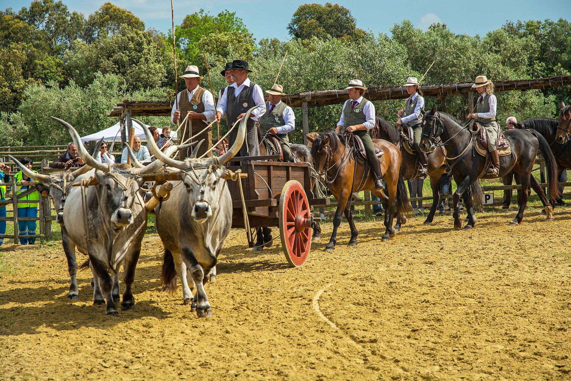 Butteri on horseback in the Tuscan Maremma
