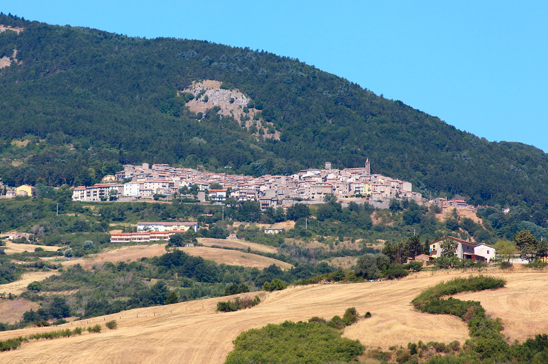 Castell'Azzara spread along a wooded slope above summer fields
