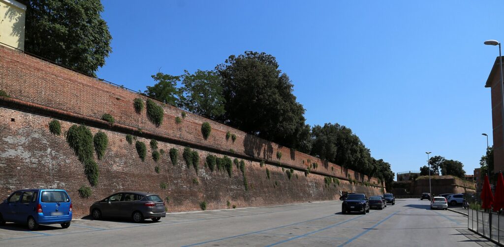 The brick Medici walls of Grosseto, lined with trees along the top