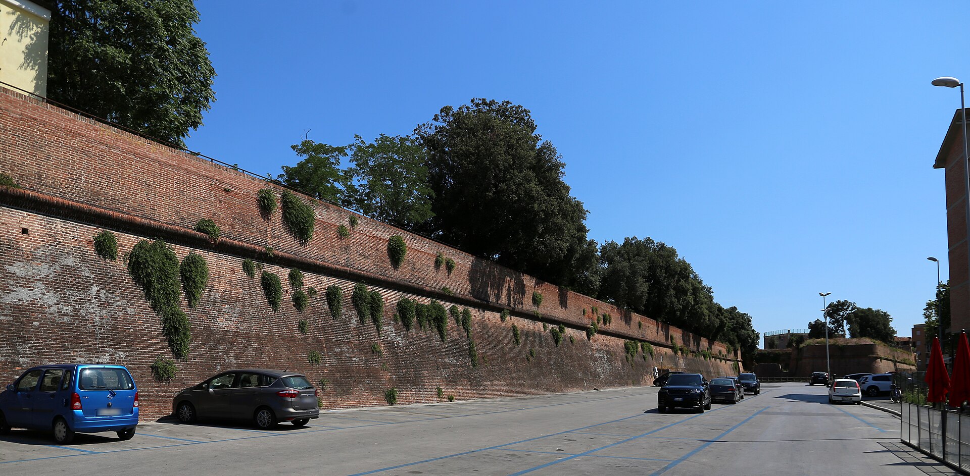 The brick Medici walls of Grosseto, lined with trees along the top