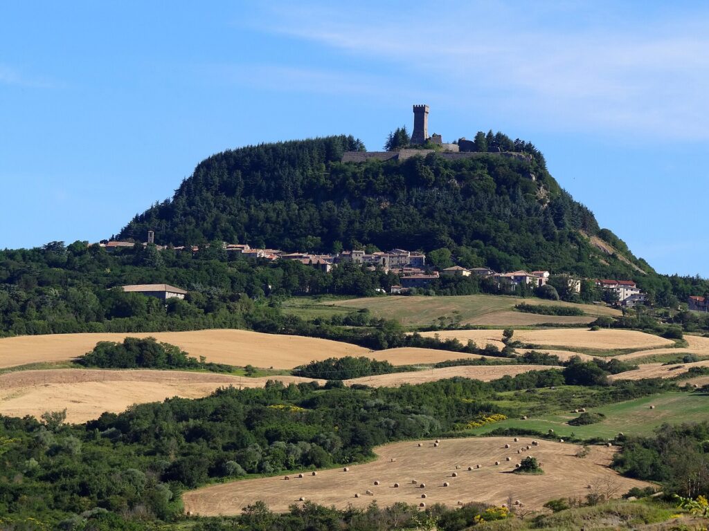 Radicofani and its fortress on a wooded volcanic hill above golden fields, seen from the Via Francigena