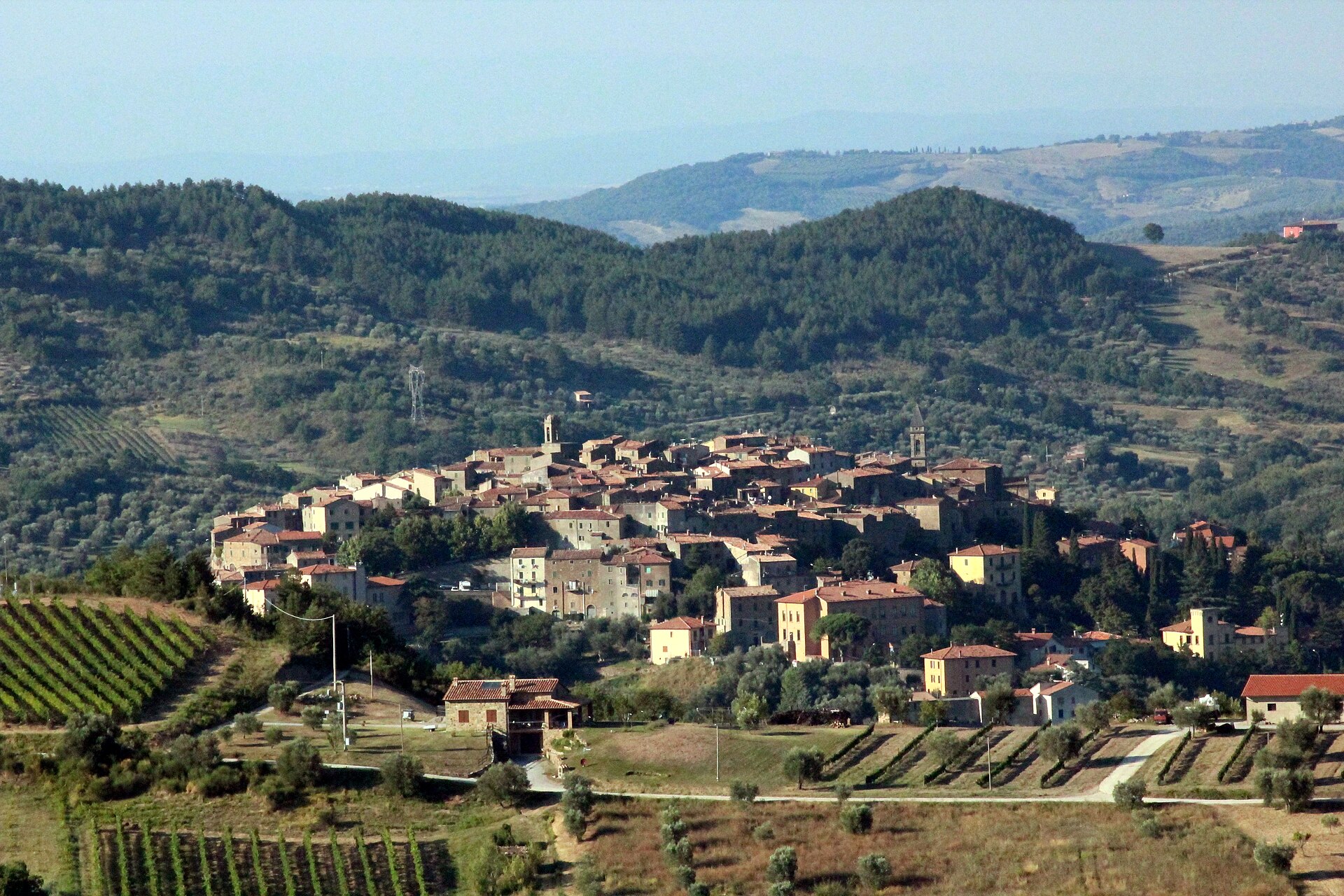 Seggiano on its hill, surrounded by olive groves and vineyards
