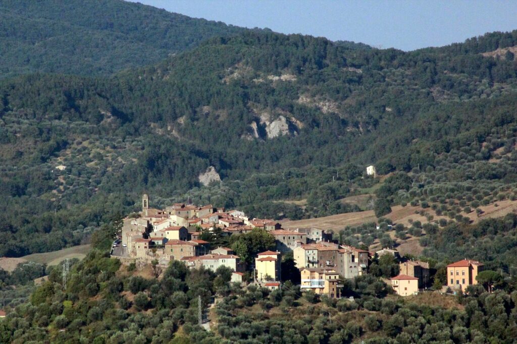 Olive groves around Seggiano on the lower slopes of Monte Amiata
