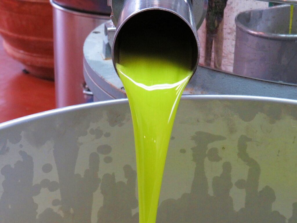 Freshly pressed green-gold olive oil pouring from a mill spout in Tuscany