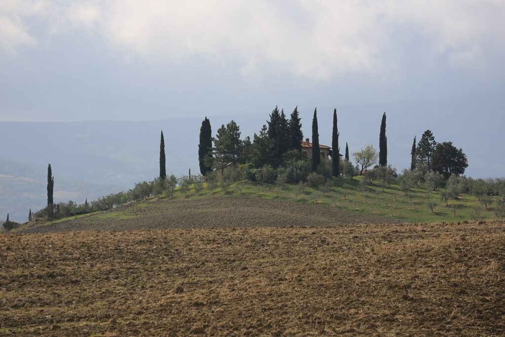 A farmhouse and a line of cypresses on a ridge above plowed autumn fields in the Val d'Orcia