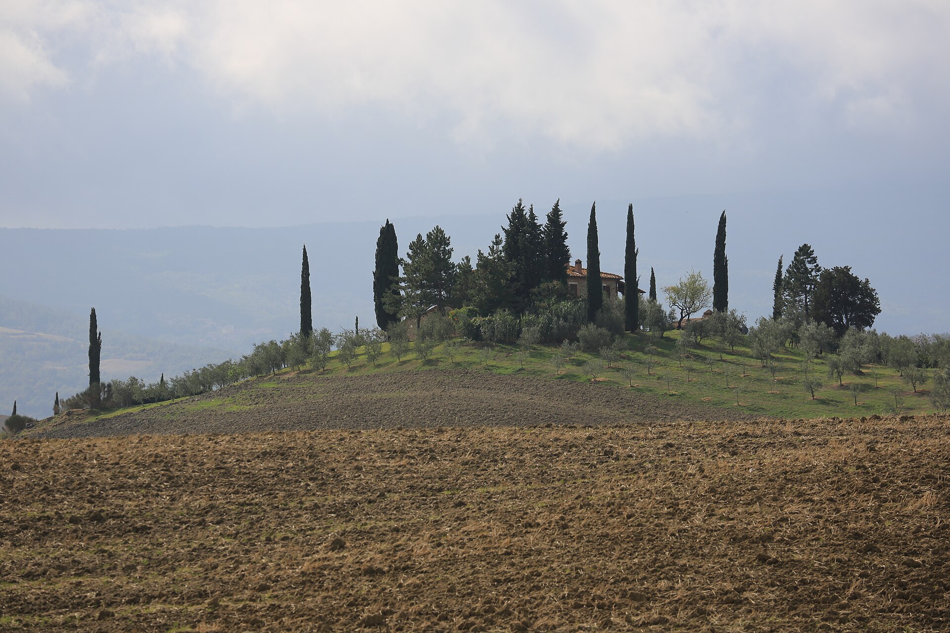 A farmhouse and a line of cypresses on a ridge above plowed autumn fields in the Val d'Orcia