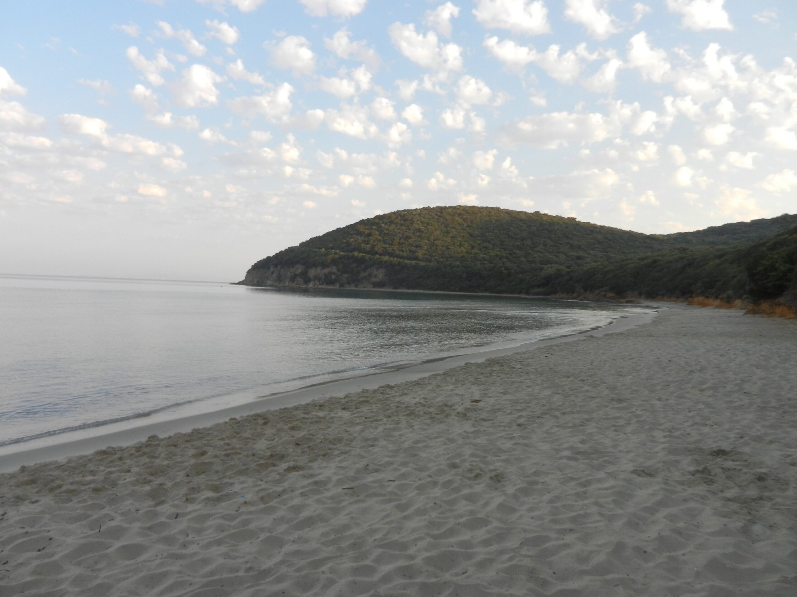 Cala Violina bay near Scarlino in soft morning light