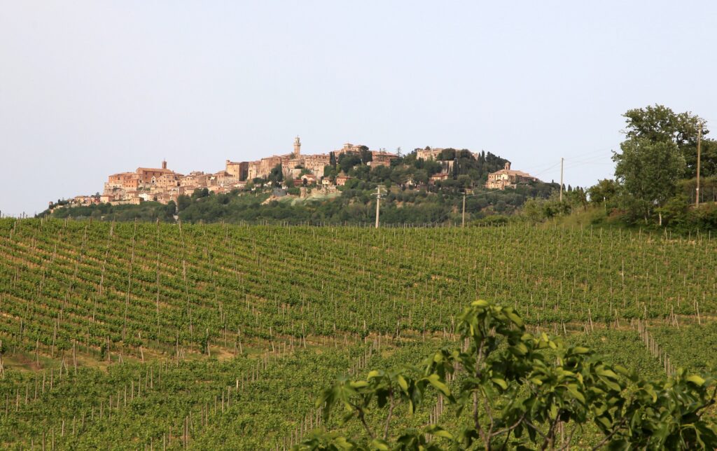 Montepulciano on its ridge above vineyards