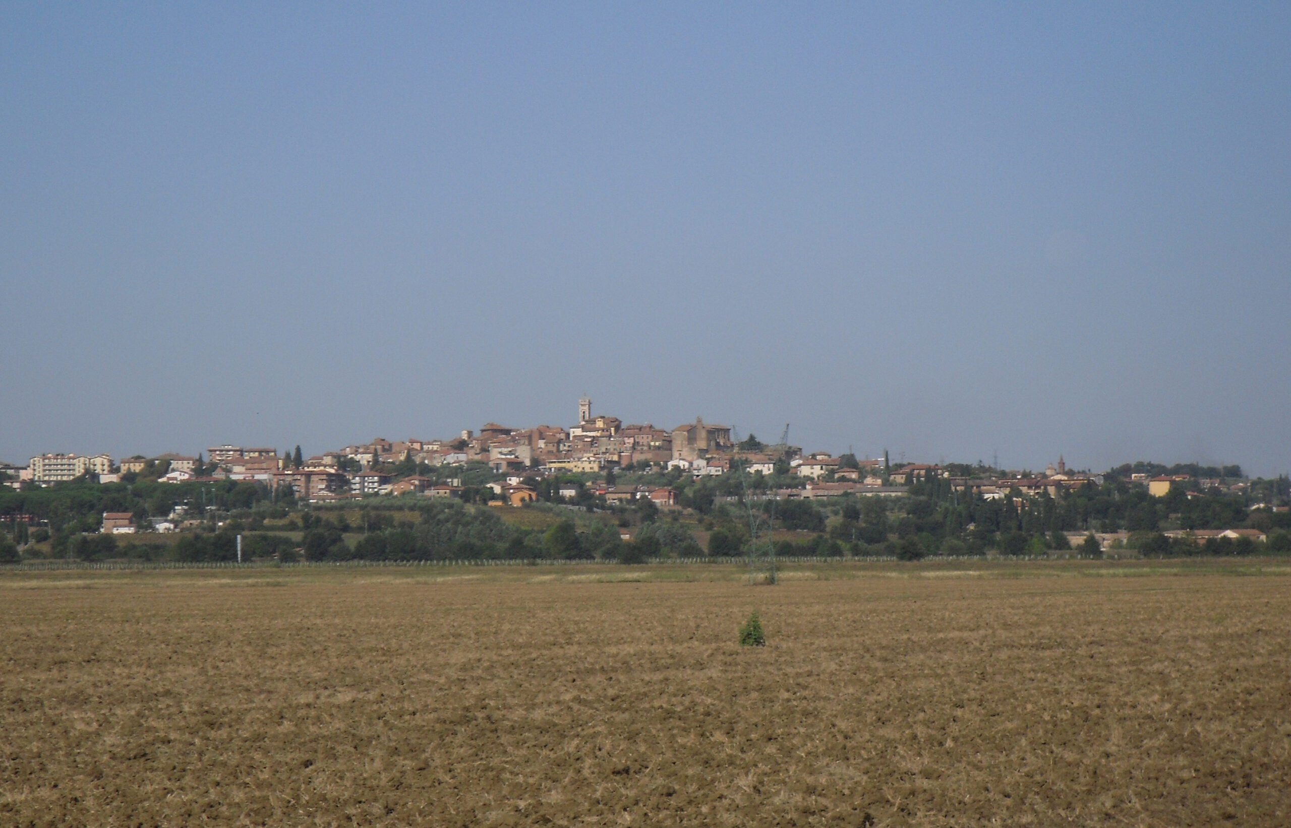 Foiano della Chiana on its low hill above the fields of the Valdichiana
