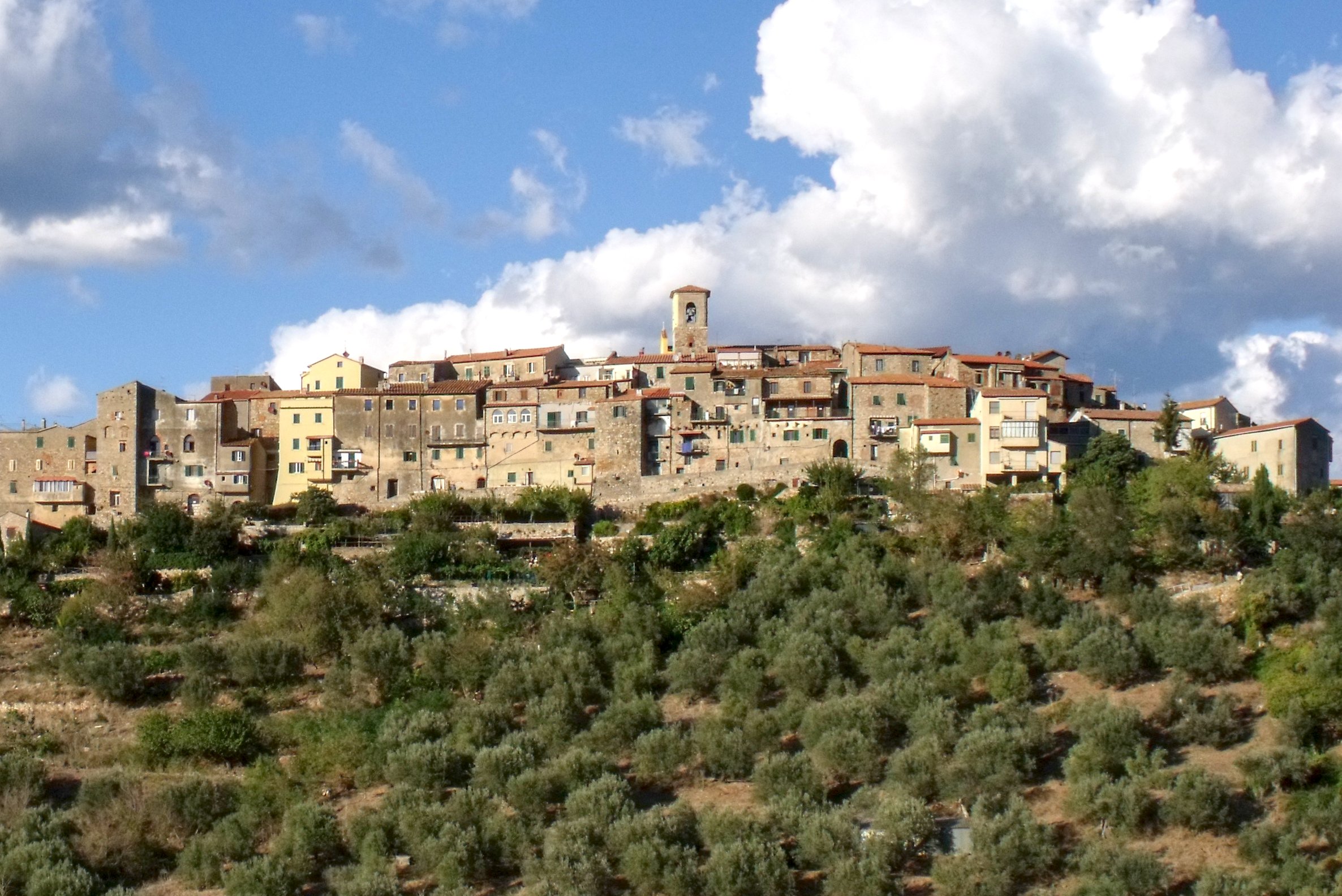 Gavorrano on its hill above olive groves in the Colline Metallifere