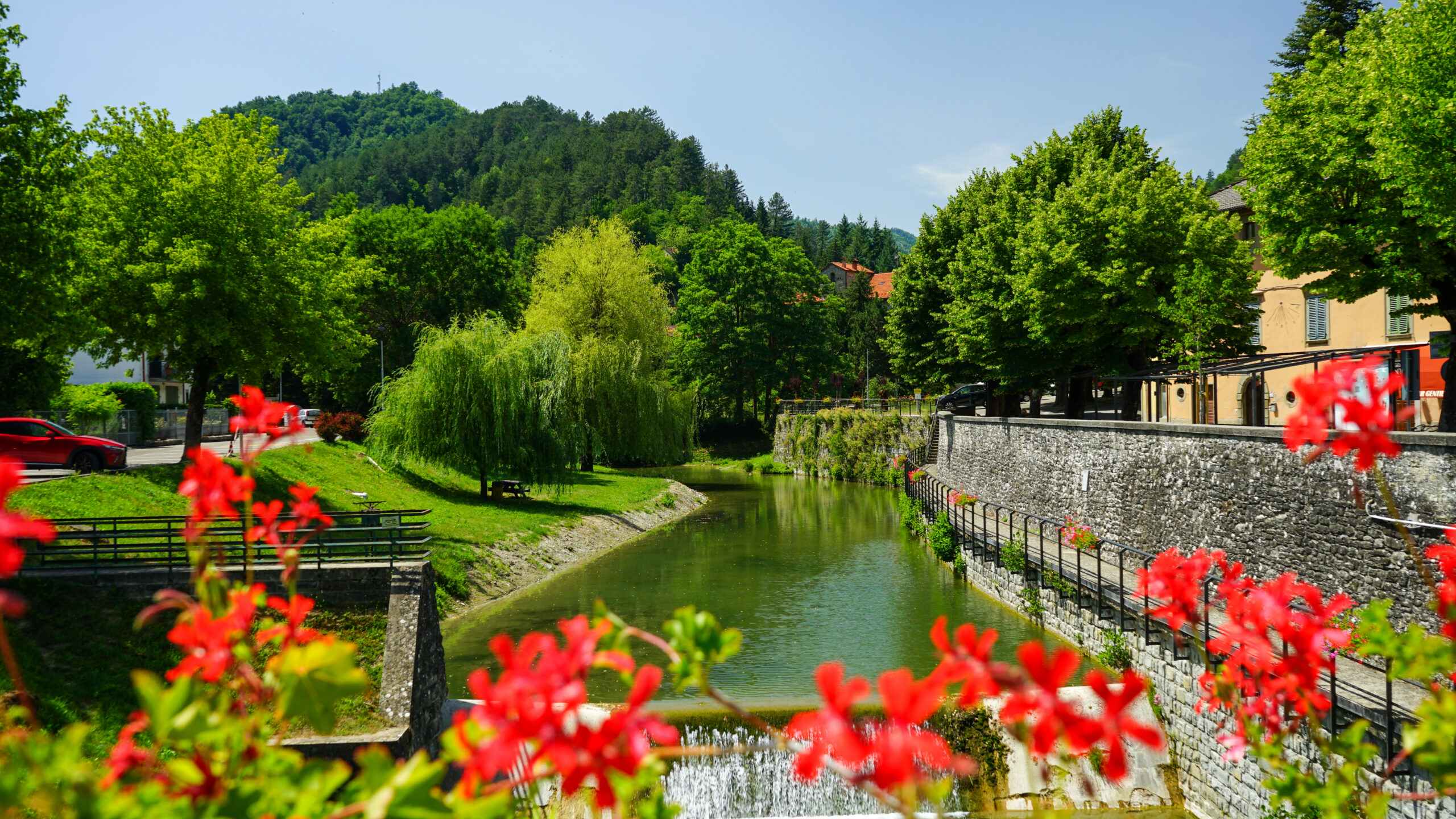 The Senio river flowing past the houses of Palazzuolo sul Senio, geraniums in the foreground